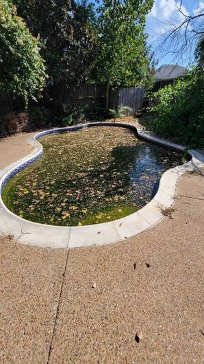 Before And After Pool Cleaning Services in 	Plano, TX (1)